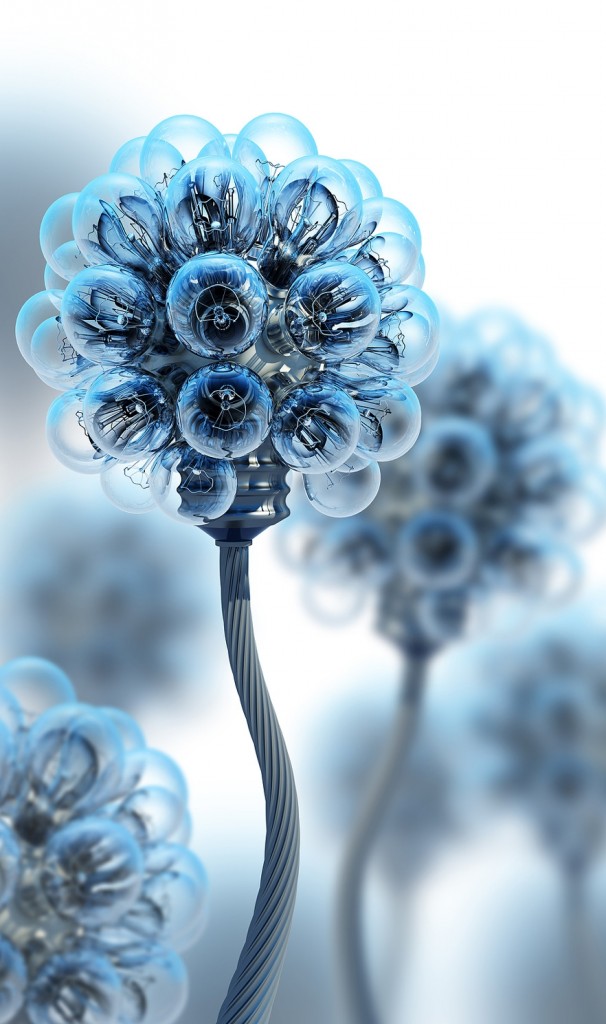 Tecnolog�a e Innovaci�n